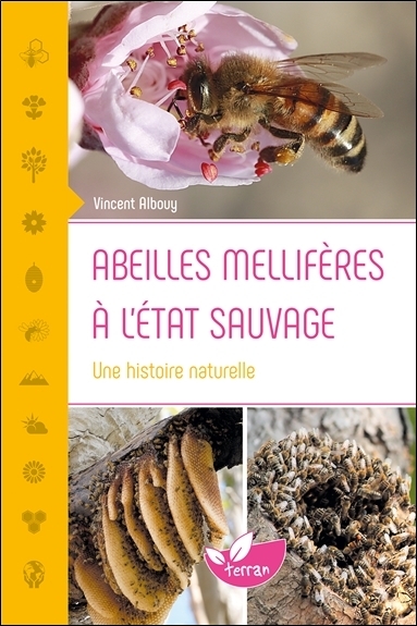 Abeilles Apiculture