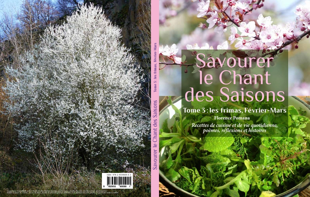 Les Plantes Et Leurs Vertus - Carnets Du Jardin - Beau Livre Illustré De 128 Pages